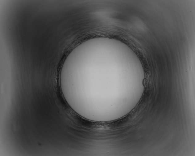 X0000095550702200712140935