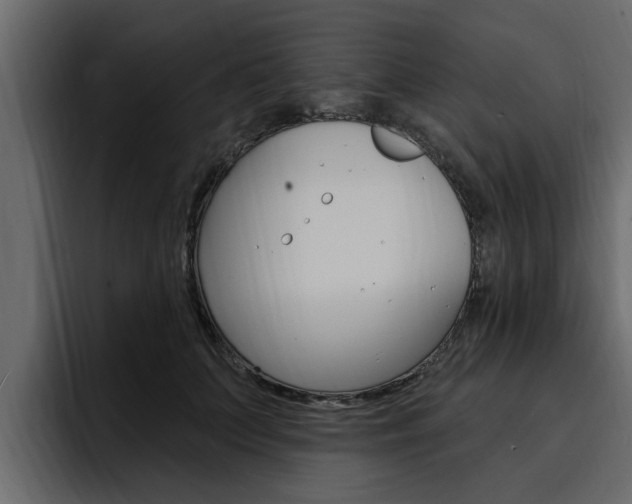 X0000095550703200712140935