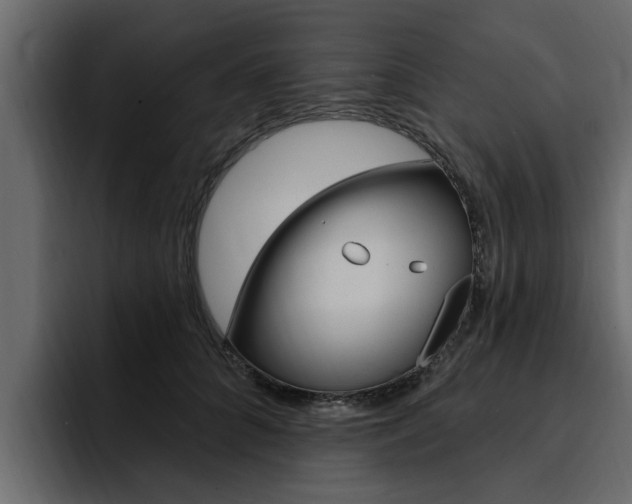 X0000095550704200712140935