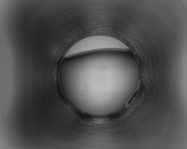 X0000095550708200712140935