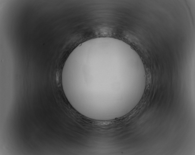 X0000095550709200712140935