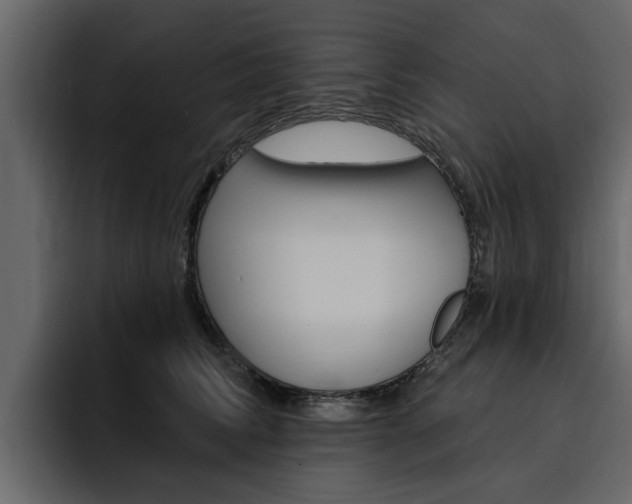 X0000095550710200712140935