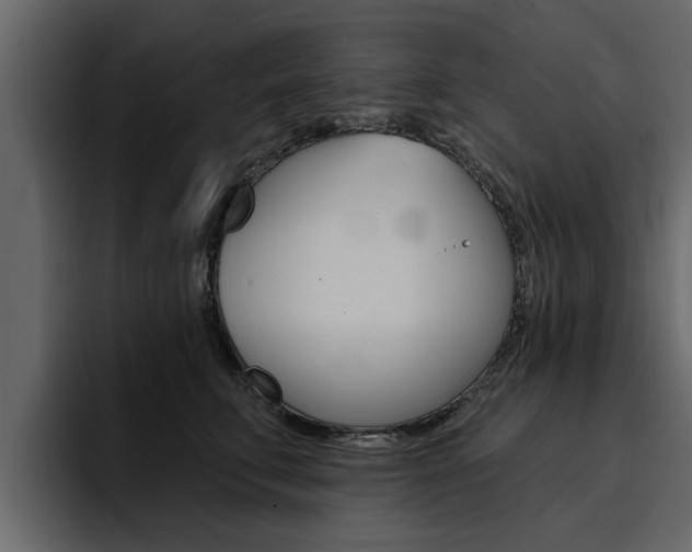 X0000095550711200712140935