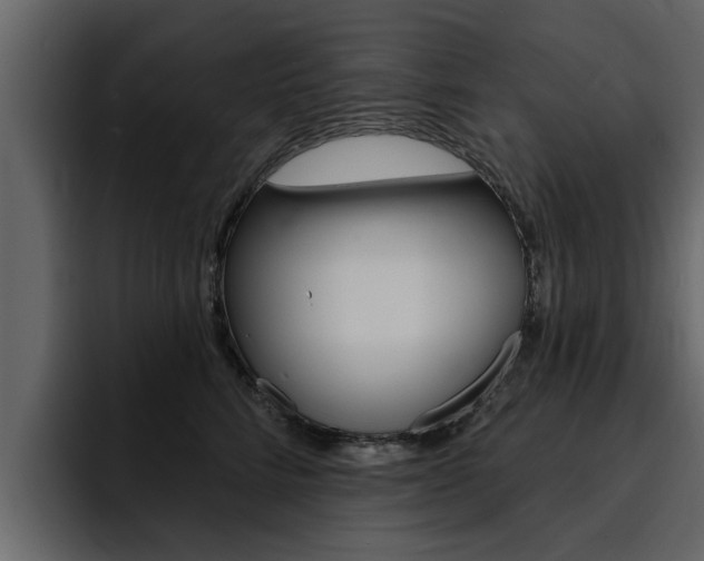X0000095550712200712140935