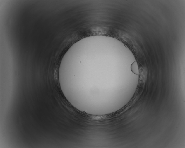 X0000095550713200712140935