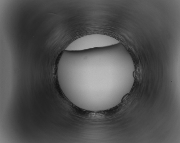 X0000095550714200712140935