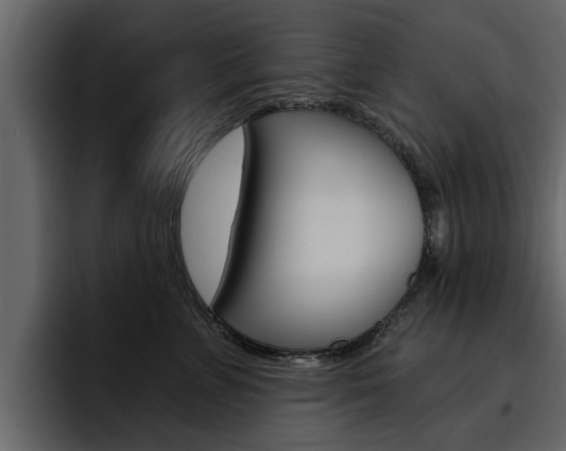 X0000095550715200712140935