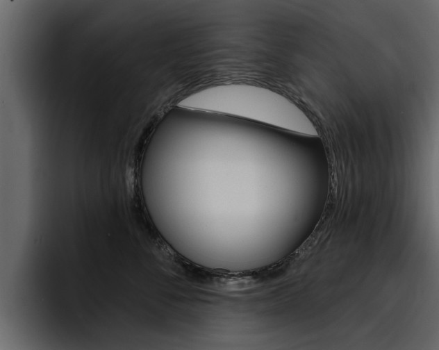 X0000095550716200712140935