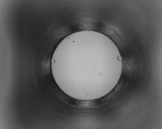 X0000095550717200712140935