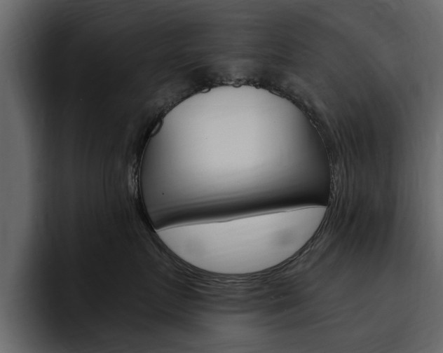 X0000095550719200712140935