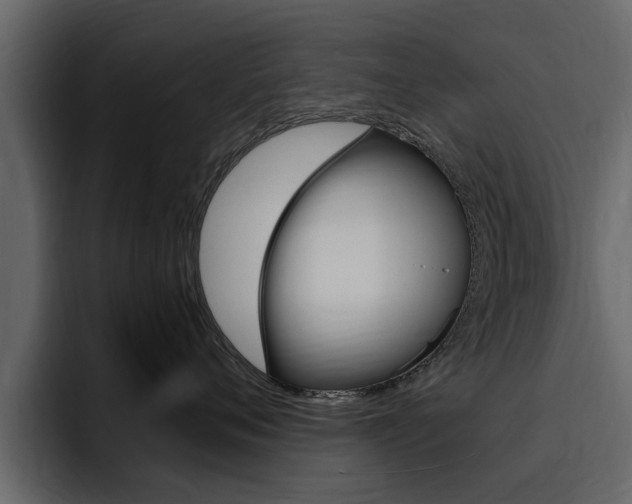 X0000095550720200712140935
