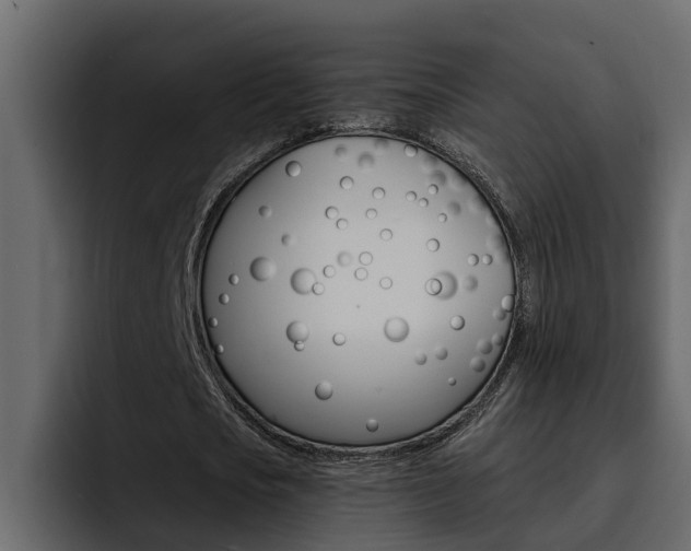 X0000095550721200712140935