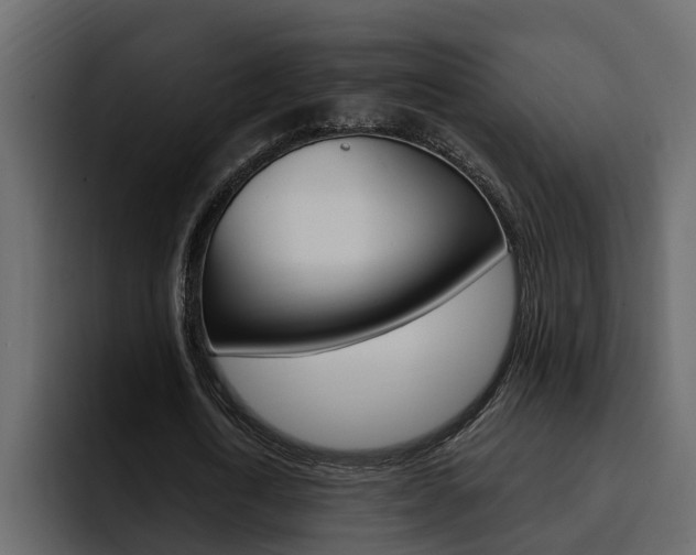 X0000095550722200712140935