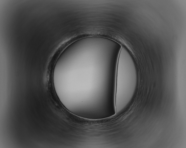 X0000095550723200712140935