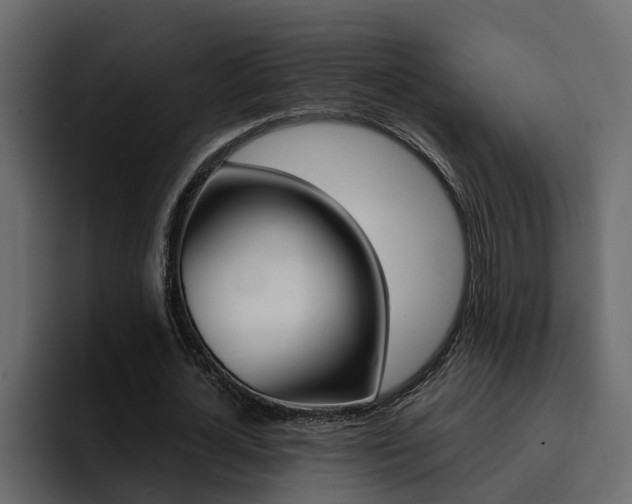 X0000095550724200712140935