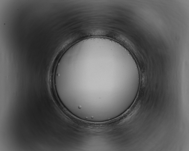 X0000095550725200712140935