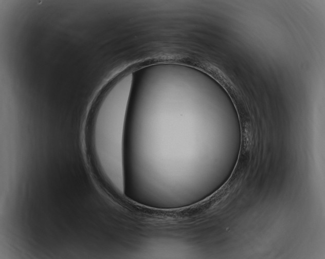 X0000095550726200712140935