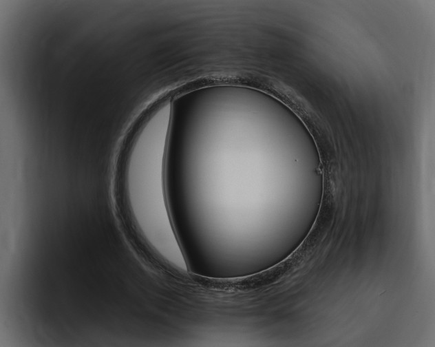 X0000095550728200712140935