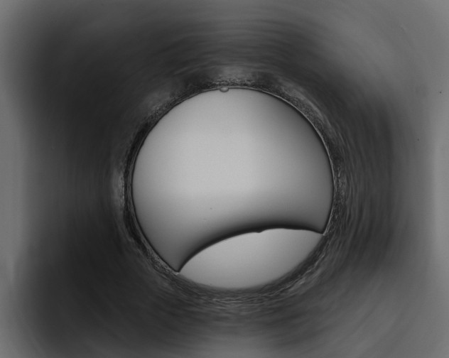 X0000095550729200712140935