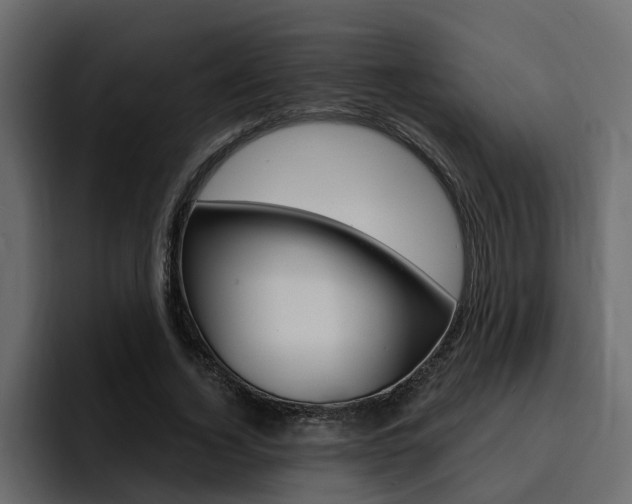 X0000095550732200712140935
