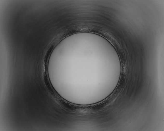 X0000095550733200712140935