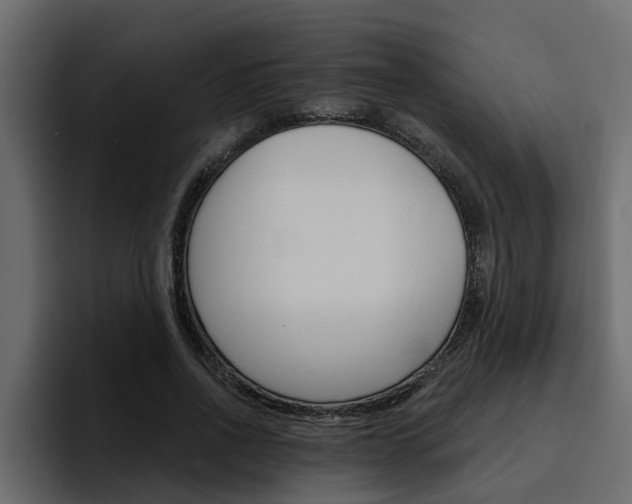X0000095550734200712140935