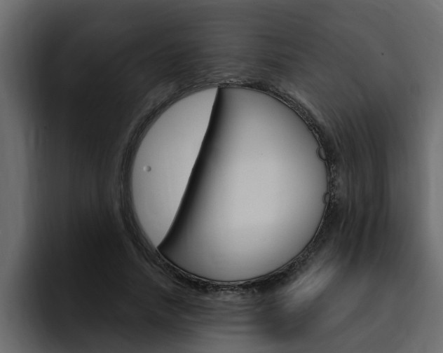 X0000095550738200712140935
