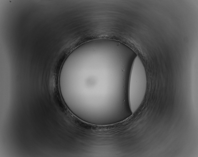 X0000095550740200712140935