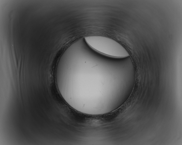 X0000095550743200712140935