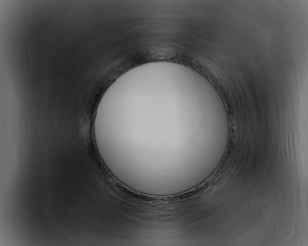 X0000095550745200712140935