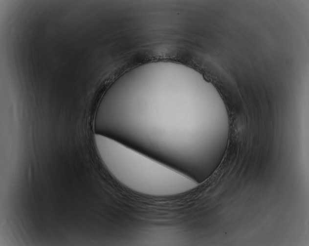 X0000095550746200712140935