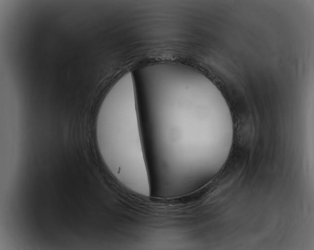 X0000095550747200712140935