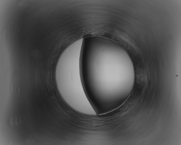 X0000095550748200712140935