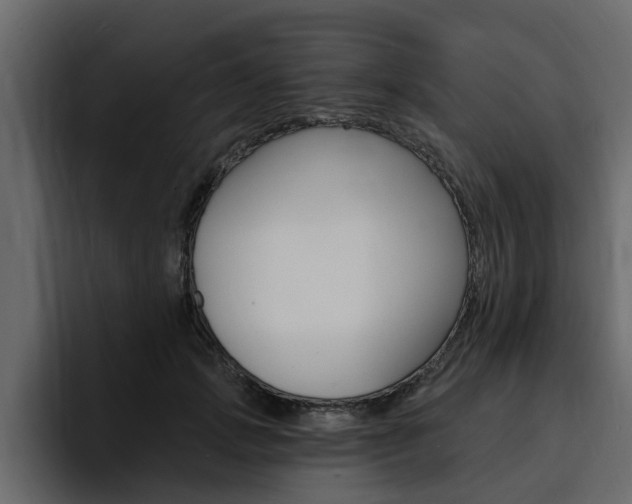 X0000095550749200712140935