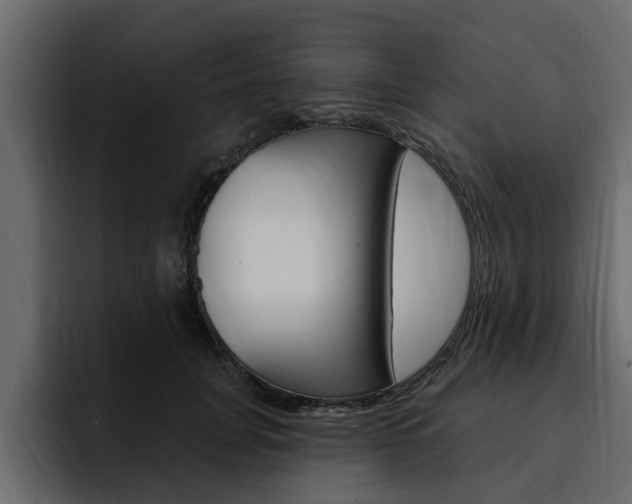 X0000095550751200712140935