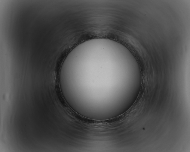 X0000095550752200712140935