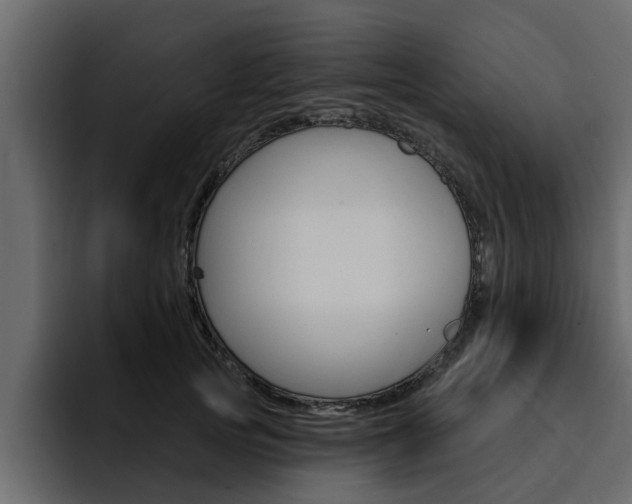 X0000095550753200712140935