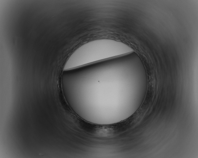 X0000095550754200712140935