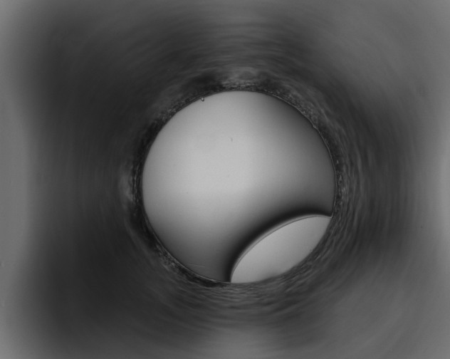 X0000095550755200712140935