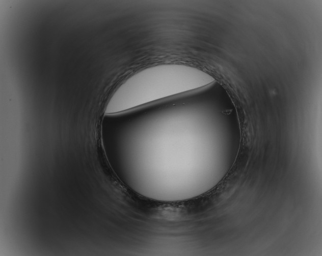 X0000095550756200712140935