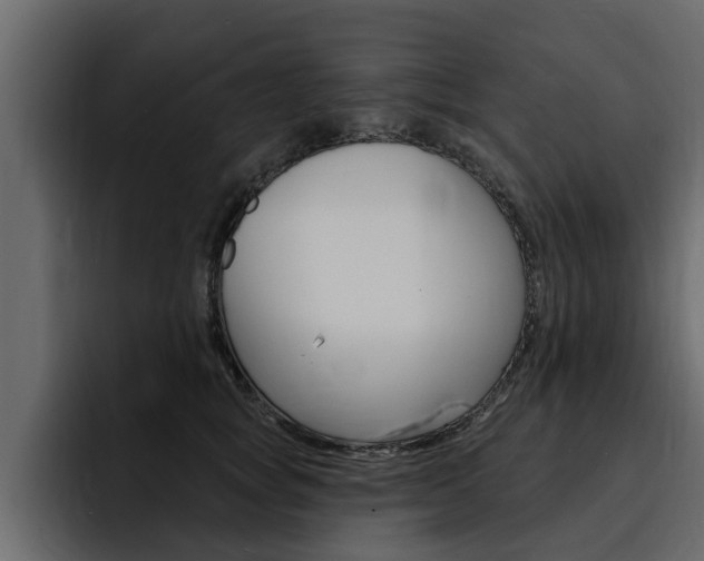 X0000095550757200712140935