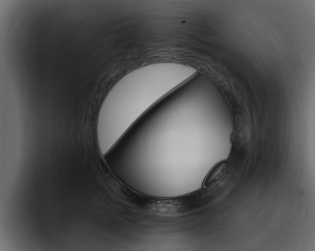 X0000095550758200712140935