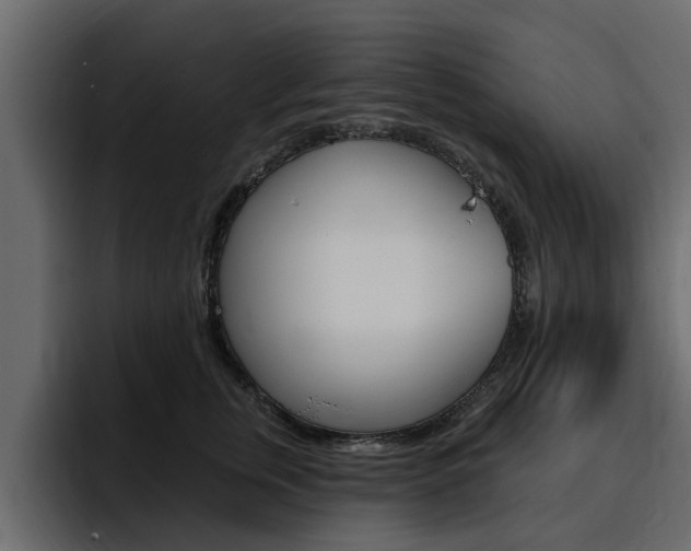 X0000095550759200712140935