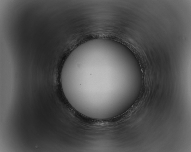 X0000095550760200712140935