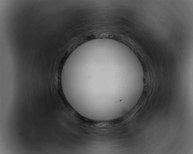 X0000095550761200712140935