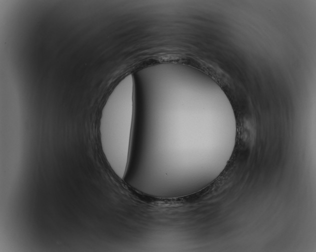 X0000095550763200712140935