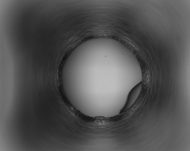 X0000095550764200712140935