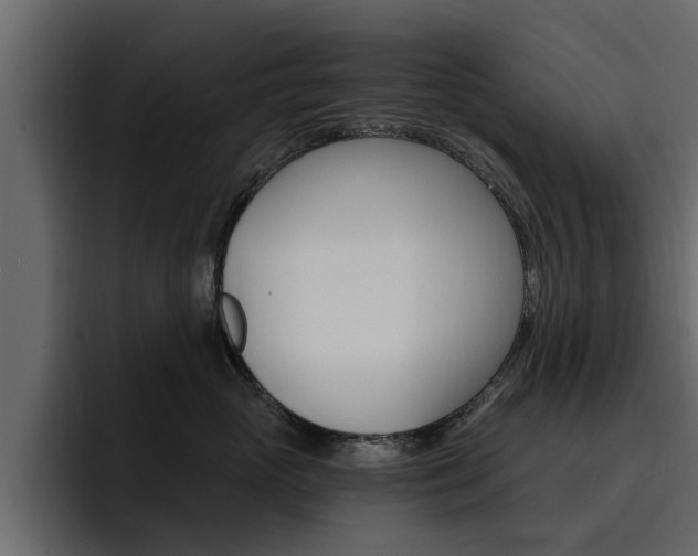 X0000095550765200712140935