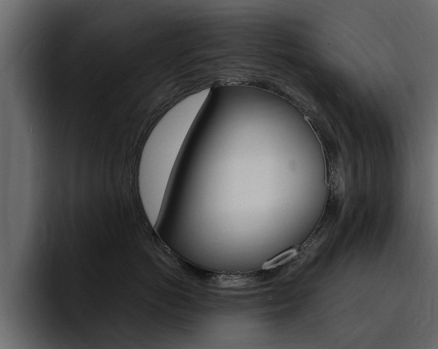 X0000095550766200712140935