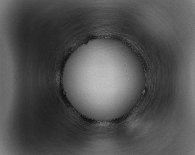 X0000095550767200712140935